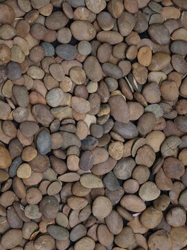 Smooth Brown River Pebbles Background Texture Viewed from Above