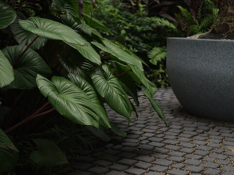 Tropical Garden Leaves over Cobblestone Path with Gray Stone Planter