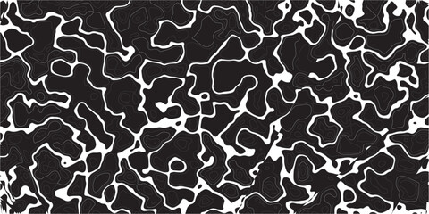 Black and white abstract camouflage pattern design texture background © MD.HUZZATULLAHISLAM