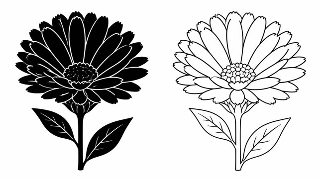 Calendula flower silhouette and line art set, floral vector icon
