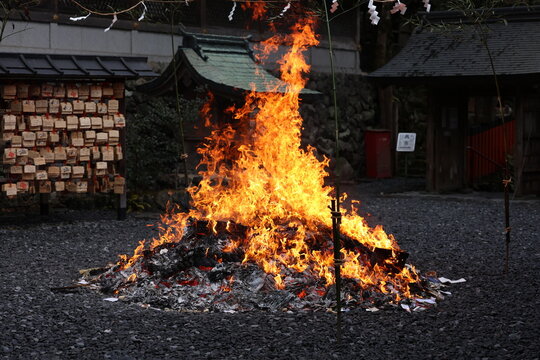 Shinto Shrine Bonfire Ritual Dondoyaki with Big Flames in Japan