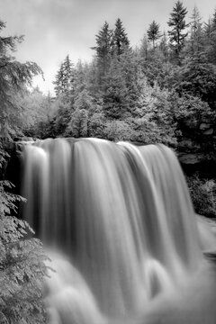 Blackwater Falls in black and white using infrared filter in Tucker County in the Allegheny Mountains