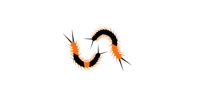 Colorful segmented caterpillar illustration with bristles.