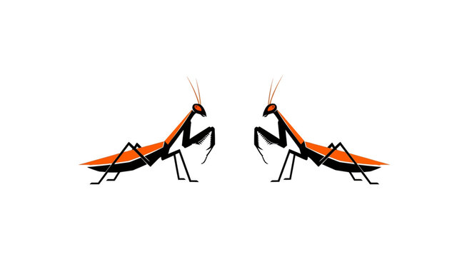 Two praying mantises facing each other in symmetry.