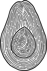 Fototapeta premium Hand-drawn avocado line art vector illustration isolated on a white background. Clean outline design featuring fresh avocado fruit, ideal for food packaging, product labels, logos, stickers, menus, he
