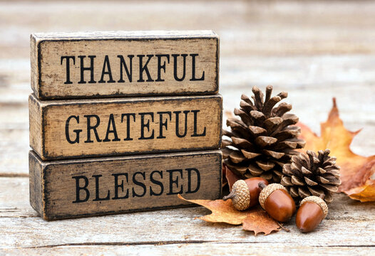 Wooden blocks with thankful grateful blessed text surrounded by pinecones acorns and autumn leaves