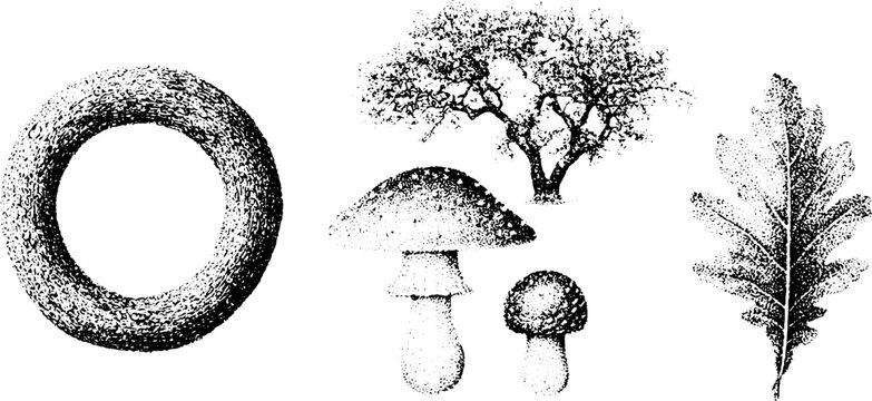 Stippled black and white mushroom ring oak tree and oak leaf botanical set for vintage nature background and design
