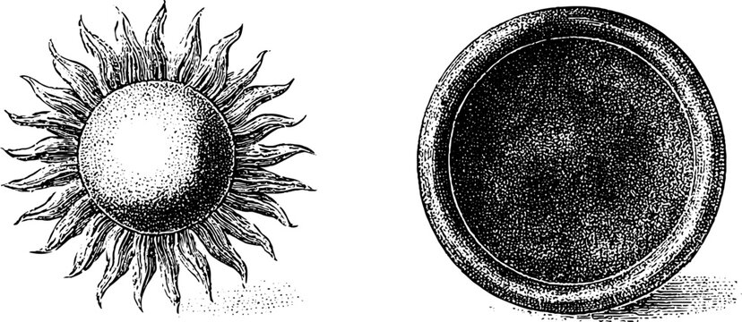 Ornamental engraved sun seal and circular security rosette background for decorative badge design and vintage emblem