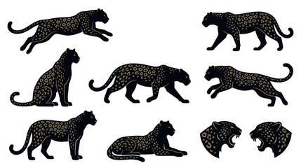 Black Panther Set: Dynamic Poses of Wild Cat with Spots © Roni