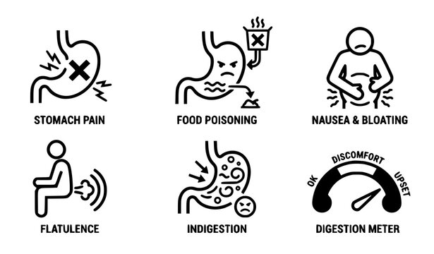 Digestive health problems and flatulence minimalist vector pictogram set for infographics