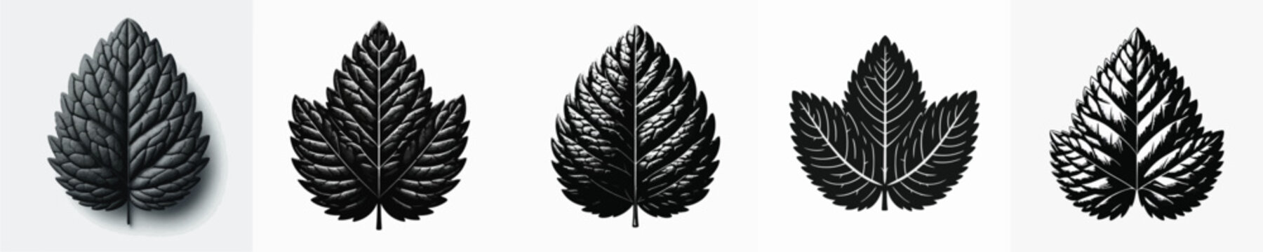 Vector silhouette of mint leaf