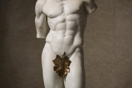 Classical marble sculpture of a male torso with bronze leaf covering.