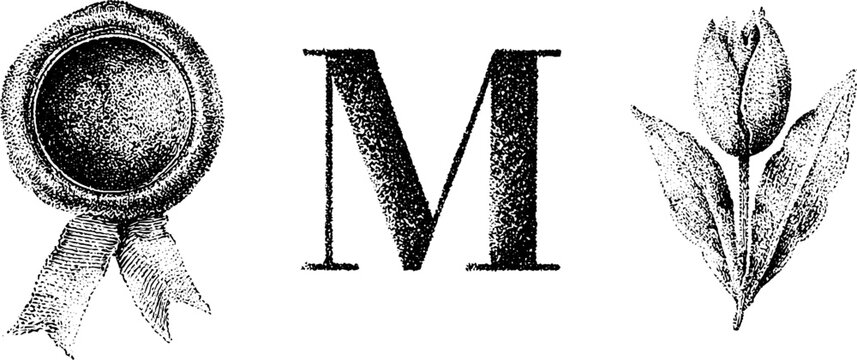 Victorian emblem collection with ribbon seal letter m and botanical tulip engraving for antique monogram design and decorative background
