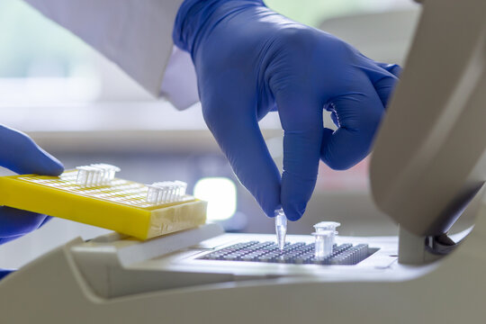 A scientist places small test tubes with a DNA sample into a PCR machine cell.