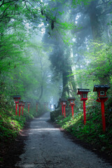 Obraz premium Misty forest trail with traditional lanterns on Mount Kongo, Osaka, Japan
