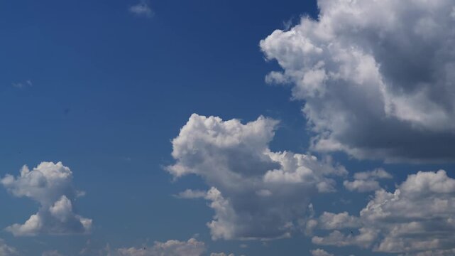 High quality time-lapse footage of fluffy cumulus clouds floating across a deep blue sky.