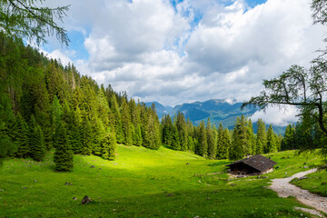 Fototapeta premium Traditional alpine hut in a green meadow in the Bavarian Alps