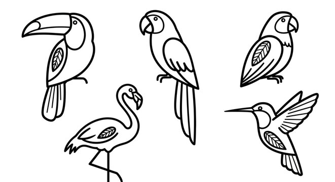 Set of tropical birds, toucan, parrot, flamingo, hummingbird, outline drawings