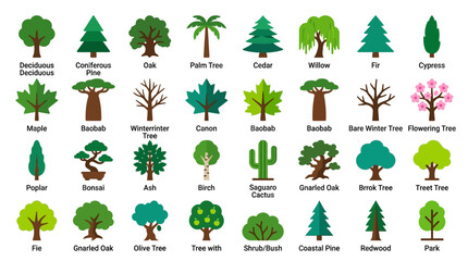 Tree Species Icon Set © ahmad