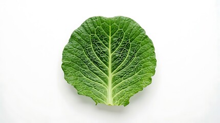 Obraz premium Green leafy vegetable on white background.