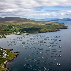 Circular Fish Farm Pens Floating in Calm Coastal Bay Near Green Island Hills © Capucino