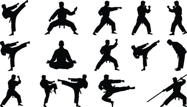 Karate Martial Arts Silhouettes Set - People Fighting Kicking Punching Vector Icon Collection