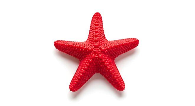 Bright Red Starfish Isolated on Clean White Background