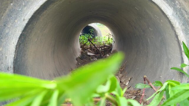 Large circular concrete culvert pipe commonly used for drainage under roads or fields.