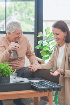 A mature couple share a relaxing gardening hobby beside their indoor herb garden, a cosy lifestyle moment of love and belonging, showing the joy of spending time together at home.