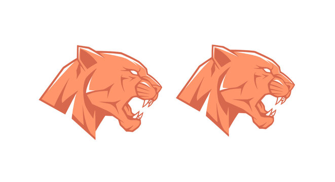 Two orange tiger heads facing opposite directions.