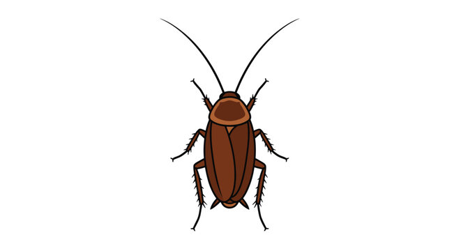 Detailed color illustration of a brown cockroach from a top down perspective showing its many legs and long antennae.