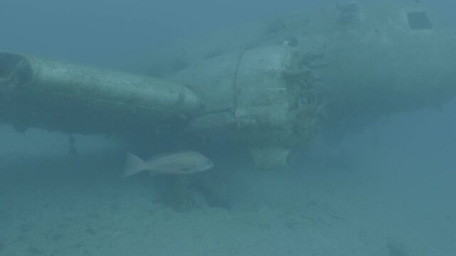 log footage of an airplane wreck underwater scuba divers to explore  metal on ocean floor