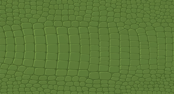 Seamless olive green alligator skin texture featuring a detailed repetitive pattern of crocodile scales and reptile hide. Flat vector illustration of exotic leather surface.