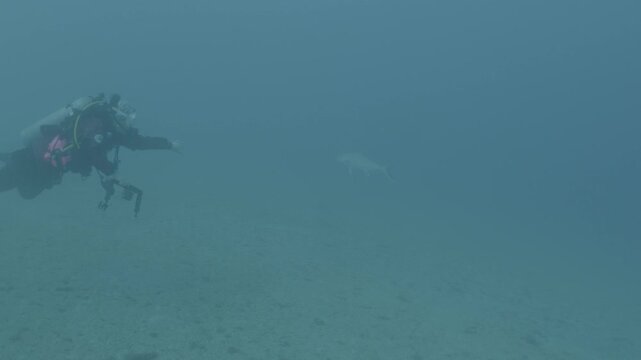 log footage of an airplane wreck underwater scuba divers to explore  metal on ocean floor