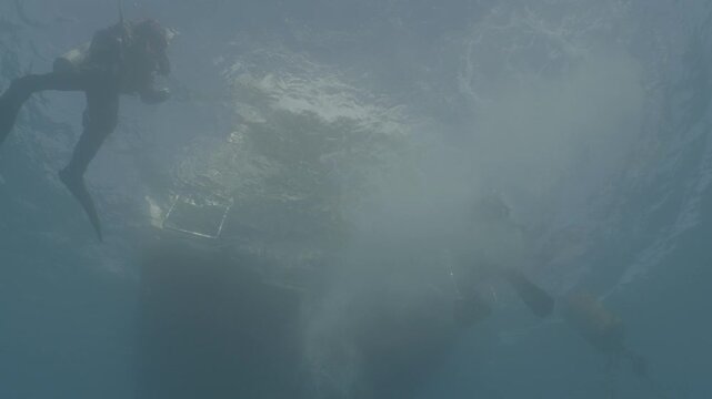 boat underwater scuba diver jumps into water to start diving ocean scenery