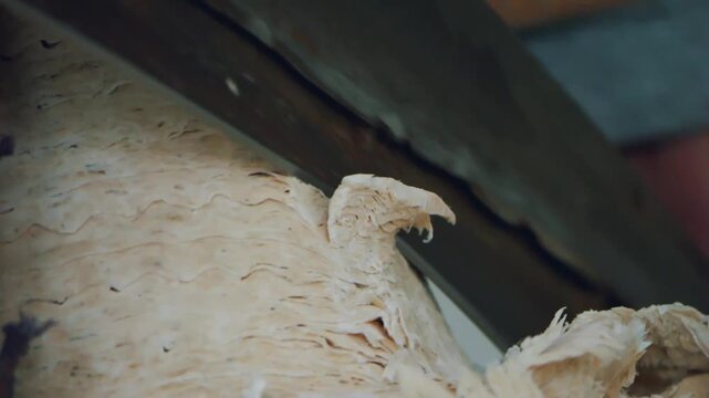Xuan Paper Making - Beating Fiber into Pulp 4K