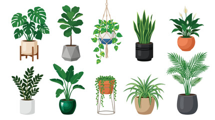 Fototapeta premium Potted houseplant collection with 10 vector illustrations, indoor tropical plants in ceramic pots, modern home garden greenery set in EPS format