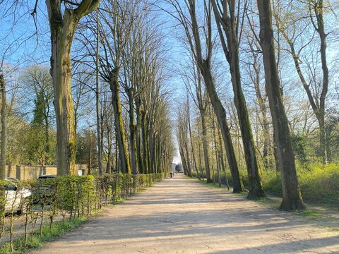 All&eacute;e principale au d&eacute;but du printemps au parc de la Dodaine &agrave; Nivelles (Brabant Wallon)