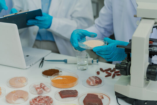 Laboratory scientists are examining the quality and safety of raw meat in a food laboratory, conducting biochemical quality control analysis on meat samples.