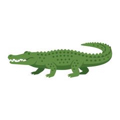 Fototapeta premium A Detailed Vector Illustration of a Green Alligator Standing Isolated on a Plain White Background