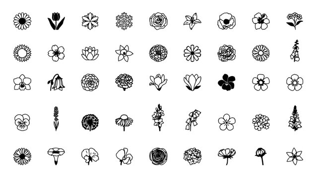 Collection of 40 Distinct Black and White Flower Icons, Vector Graphics, Isolated on White Featuring Icon, Floral, Nature with Botanical and Design