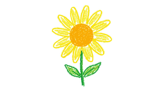 Cheerful yellow sunflower illustration. Simple childlike crayon drawing with bright petals, an orange center, and a green stem on a clean white background