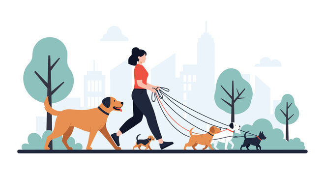 Professional female dog walker walking several different breeds of dogs on leashes through a city park with buildings in the background.