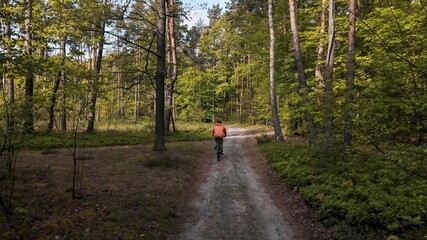 Fototapeta premium Mountain biker riding single trail through summer forest