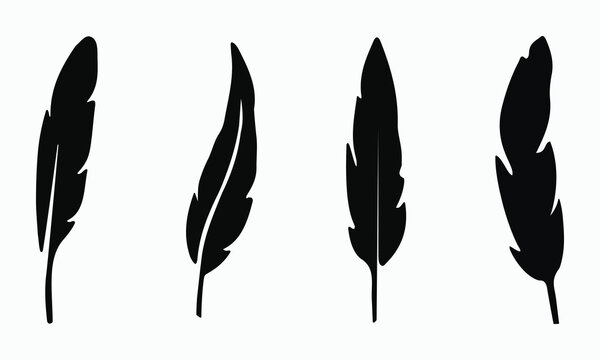 Feather vector silhouette set illustration representing various bird feathers in black color isolated on a white background collection of different shapes and sizes.