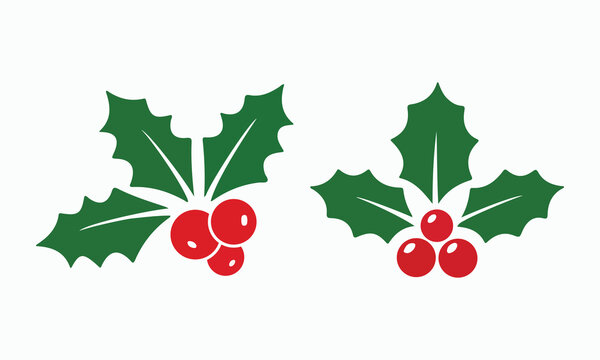Holly berry vector set with green leaves and red berries isolated on a white background christmas holiday decorative elements winter season plant graphic illustrations.