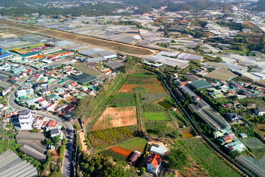 View over Dalat revealing extensive agricultural greenhouses, residential buildings, and rich green forests covering rolling hills on a bright day