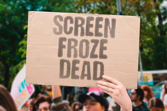 "Screen Froze Dead" Monitor display became static and unresponsive. SCREEN. FROZE. DEAD. MONITOR. STATIC.