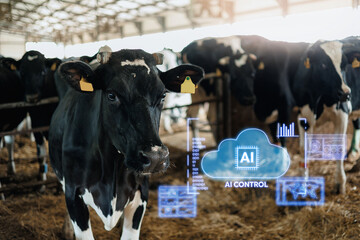 Closeup dairy cow with ai control system cloud in barn for herd monitoring and precision livestock © Parilov