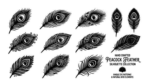 Hand crafted peacock feather silhouette vector collection with unique eye patterns and natural bird elements